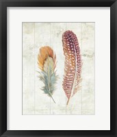 Natural Flora XI Bold Feathers Framed Print