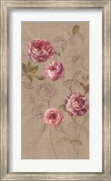 Framed Roses and Butterfly