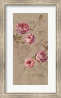 Framed Roses and Butterfly