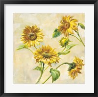 Framed Farm Nostalgia Sunflowers