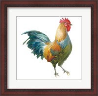 Framed Noble Rooster III on White