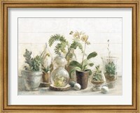 Framed Greenhouse Orchids on Shiplap