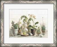 Framed Greenhouse Orchids on Shiplap