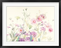 Framed Queen Annes Lace and Cosmos