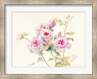 Framed Sweet Roses