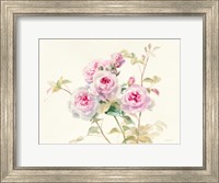 Framed Sweet Roses
