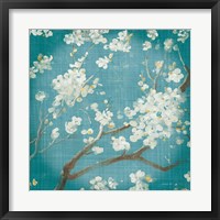 Framed White Cherry Blossoms I on Teal Aged no Bird