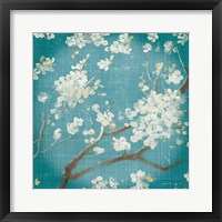 Framed 'White Cherry Blossoms I on Teal Aged no Bird' border=