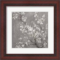 Framed White Cherry Blossoms II on Grey Crop