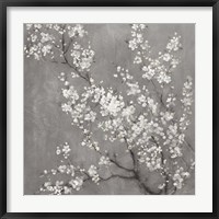 Framed White Cherry Blossoms II on Grey Crop