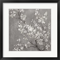 Framed 'White Cherry Blossoms II on Grey Crop' border=