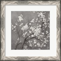 Framed White Cherry Blossoms I on Grey Crop