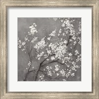 Framed 'White Cherry Blossoms I on Grey Crop' border=