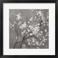 Framed 'White Cherry Blossoms I on Grey Crop' border=