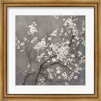 Framed White Cherry Blossoms I on Grey Crop