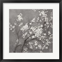 Framed 'White Cherry Blossoms I on Grey Crop' border=