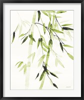 Framed Bamboo Leaves V Green