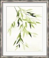Framed Bamboo Leaves IV Green