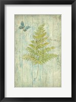 Natural Floral XII Butterfly Framed Print