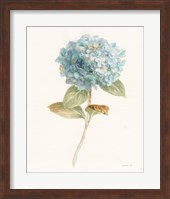 Framed Garden Hydrangea