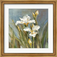 Framed Spring Iris II