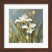 Framed Spring Iris II