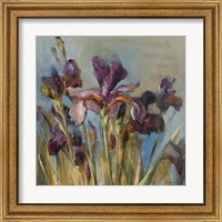 Framed 'Spring Iris I' border=