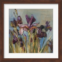 Framed 'Spring Iris I' border=