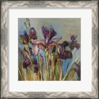 Framed Spring Iris I