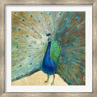 Framed Blue Peacock Cream