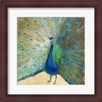 Framed Blue Peacock Cream