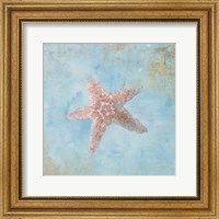 Framed Treasures from the Sea IV Watercolor