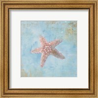 Framed 'Treasures from the Sea IV Watercolor' border=