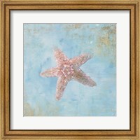 Framed Treasures from the Sea IV Watercolor