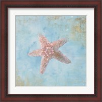 Framed 'Treasures from the Sea IV Watercolor' border=