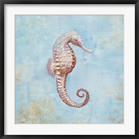 Framed Treasures from the Sea I Watercolor