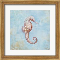 Framed Treasures from the Sea I Watercolor