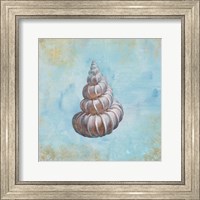 Framed Treasures from the Sea II Watercolor