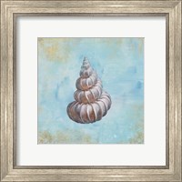 Framed 'Treasures from the Sea II Watercolor' border=