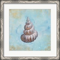 Framed Treasures from the Sea II Watercolor