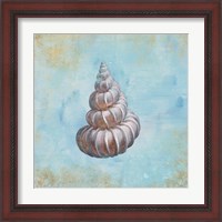 Framed 'Treasures from the Sea II Watercolor' border=