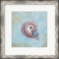 Framed 'Treasures from the Sea III Watercolor' border=