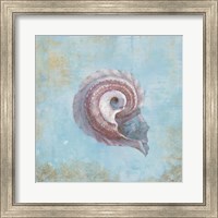 Framed Treasures from the Sea III Watercolor