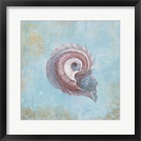 Framed Treasures from the Sea III Watercolor