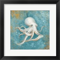 Treaures from the Sea V Aqua Framed Print