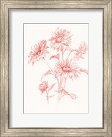 Framed Farm Nostalgia Flowers I