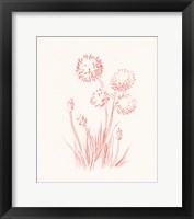 Farm Nostalgia Flowers II Framed Print