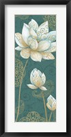 Framed Lotus Dream IIB