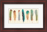 Framed Feather Tales VII