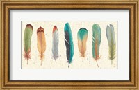 Framed Feather Tales VII